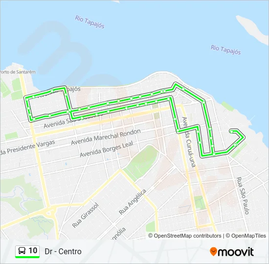 10 Bus Line Map
