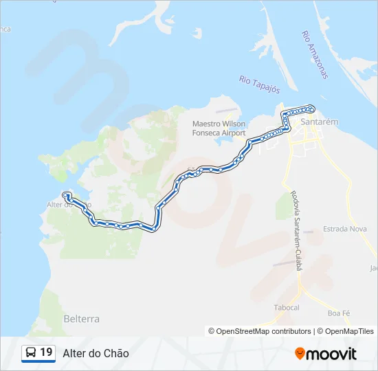 19 Bus Line Map