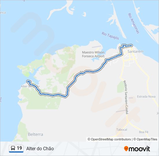 19 bus Line Map