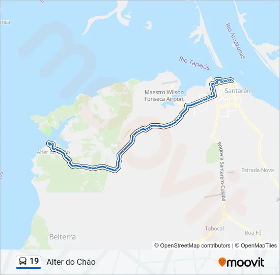 19 Bus Line Map