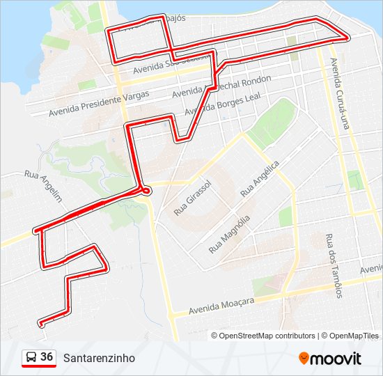 36 bus Line Map