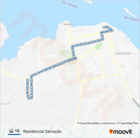16 Bus Line Map