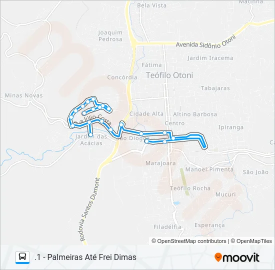 15 PALMEIRAS Bus Line Map