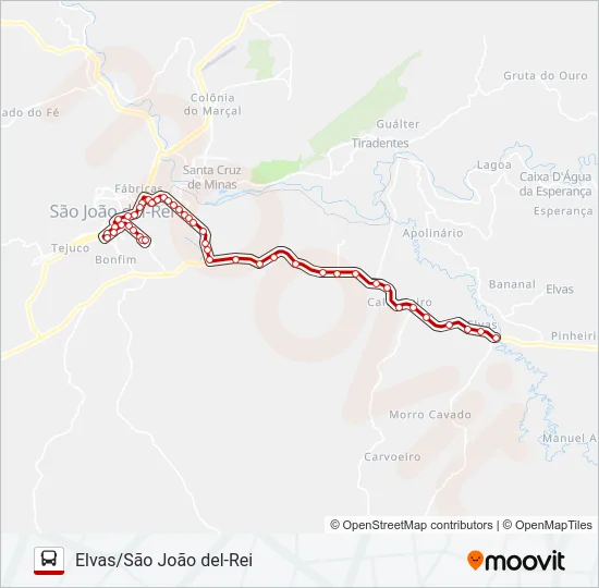 10 ELVAS/SÃO JOÃO DEL-REI Bus Line Map