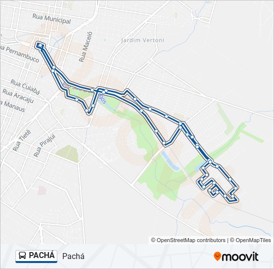 Mapa de PACHÁ de autobús