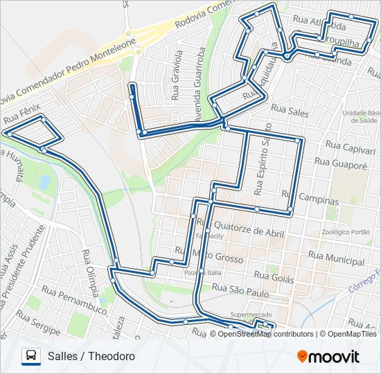 Mapa da linha SALLES / THEODORO de ônibus