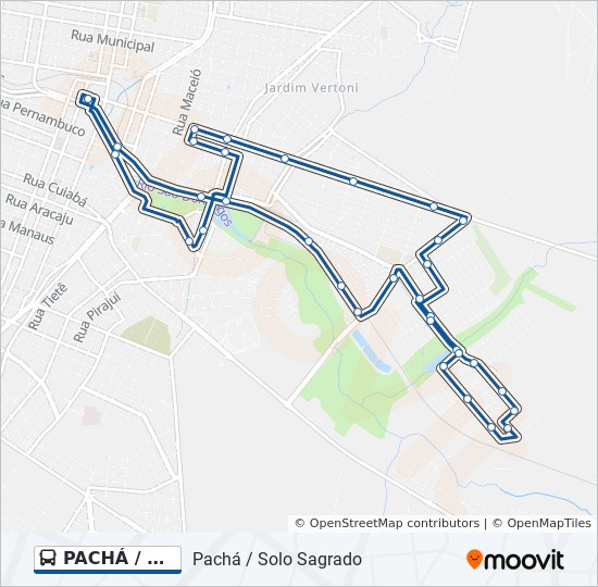 PACHÁ / SOLO SAGRADO bus Line Map