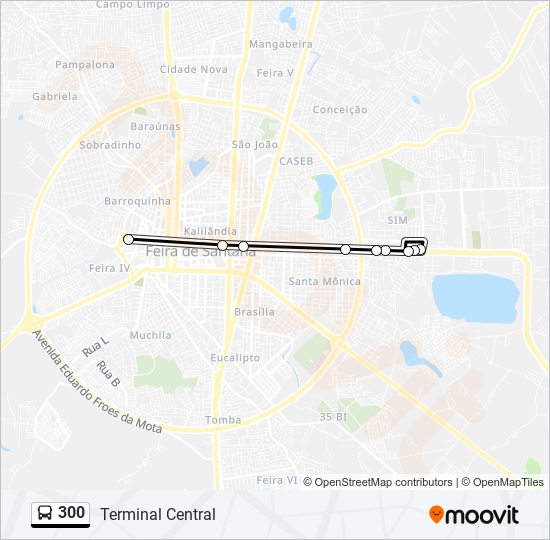 Mapa da linha 300 de ônibus