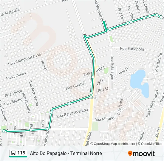 119 Bus Line Map