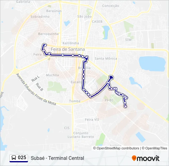 025 Bus Line Map