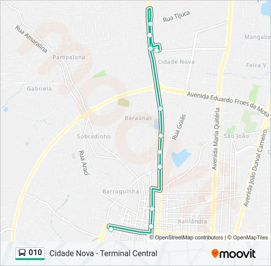 010 Bus Line Map
