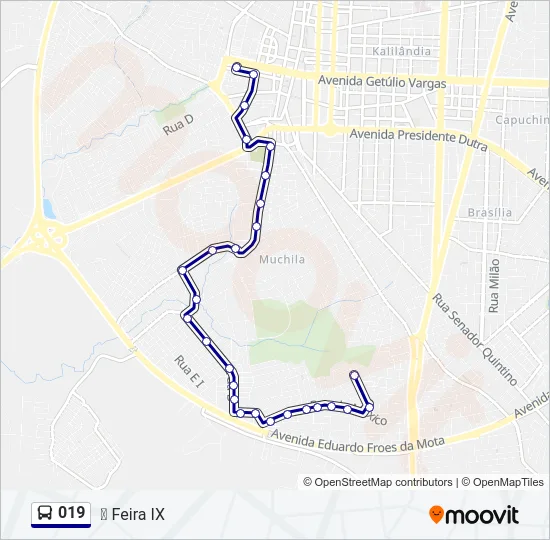 019 Bus Line Map
