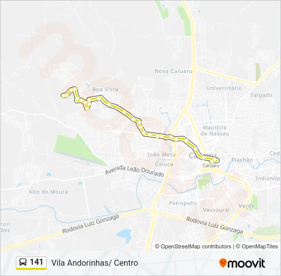 141 Bus Line Map