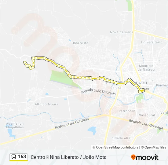 163 Bus Line Map