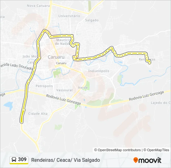 309 Bus Line Map