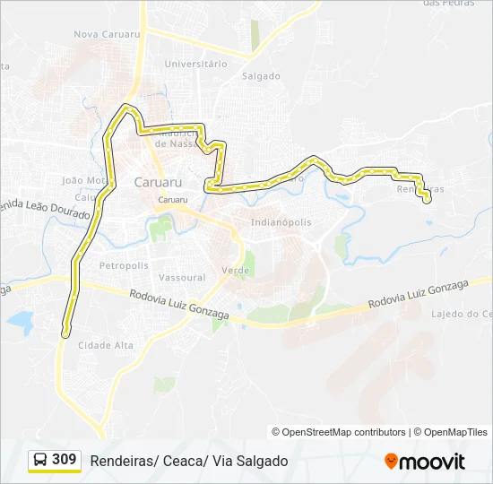 309 Bus Line Map