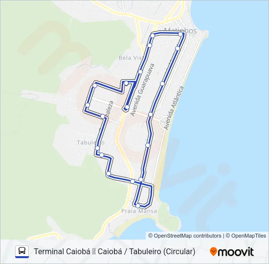 005 CAIOBÁ / TABULEIRO Bus Line Map