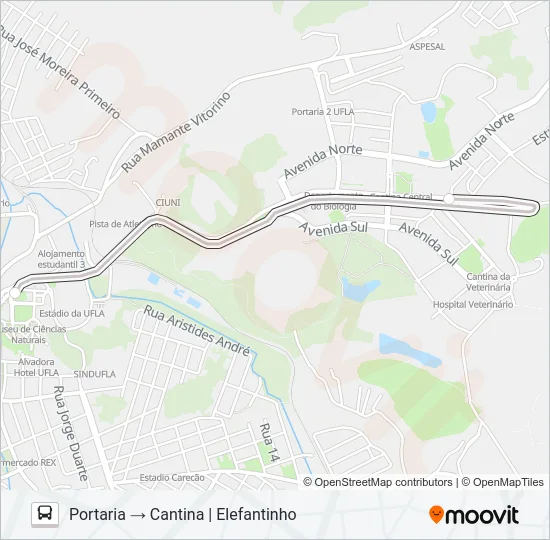 CIRCULAR INTERNO UFLA Bus Line Map