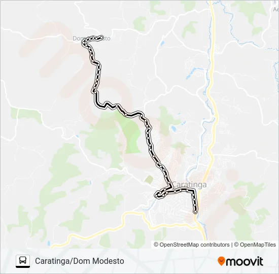 D02 CARATINGA/DOM MODESTO Bus Line Map