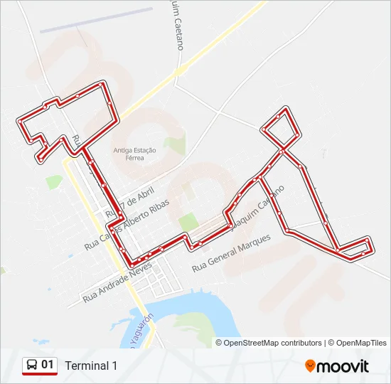 01 Bus Line Map