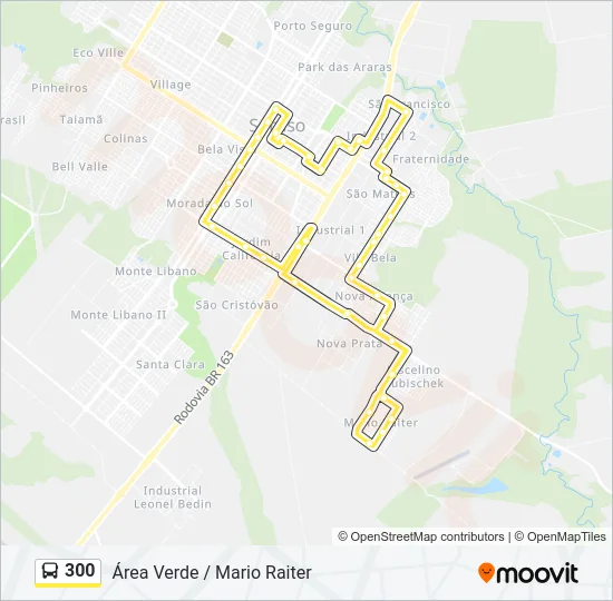 300 Bus Line Map
