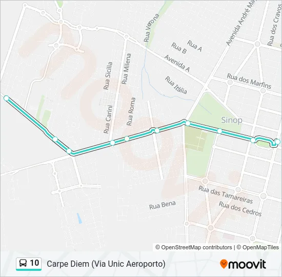 10 Bus Line Map