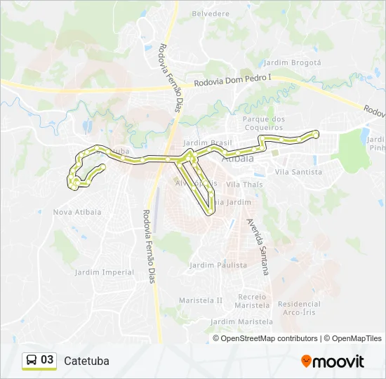 03 Bus Line Map