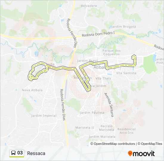03 Bus Line Map