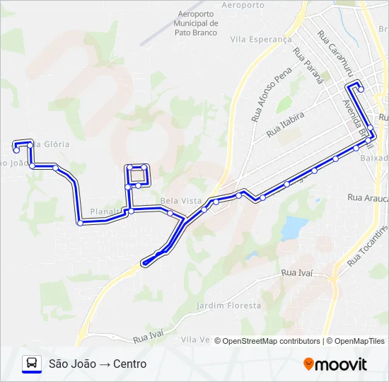 113 SÃO JOÃO / CENTRO Bus Line Map