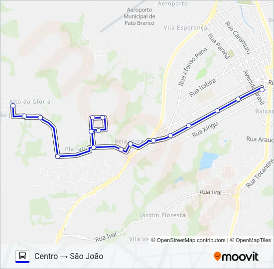 113 SÃO JOÃO / CENTRO Bus Line Map