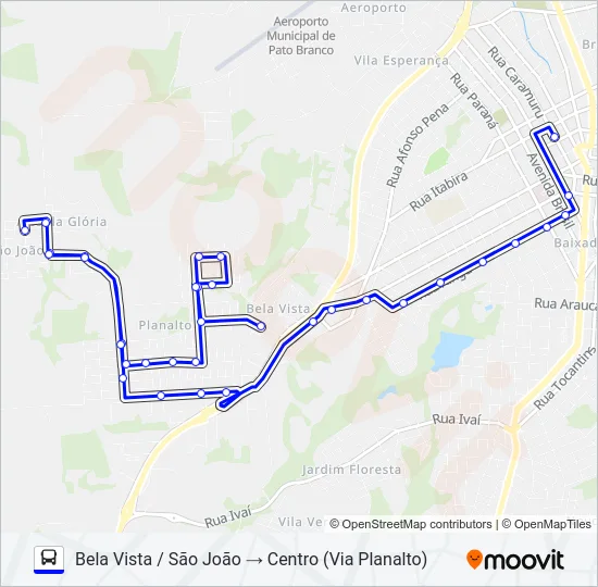 113 SÃO JOÃO / CENTRO Bus Line Map
