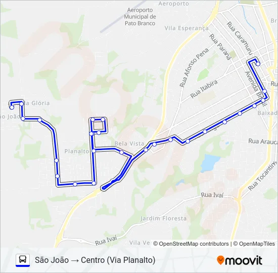113 SÃO JOÃO / CENTRO Bus Line Map