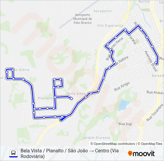 113 SÃO JOÃO / CENTRO Bus Line Map