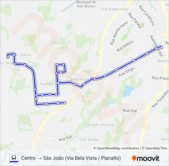 113 SÃO JOÃO / CENTRO Bus Line Map