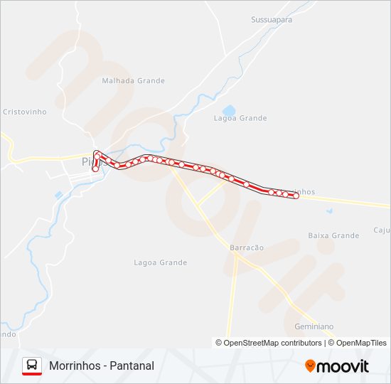 08 MORRINHOS / CENTRO Bus Line Map