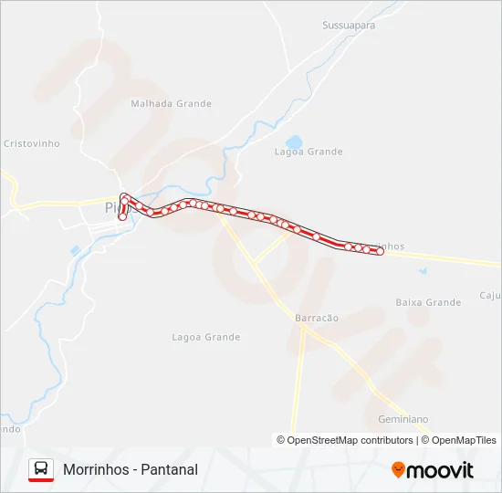 08 MORRINHOS / CENTRO Bus Line Map