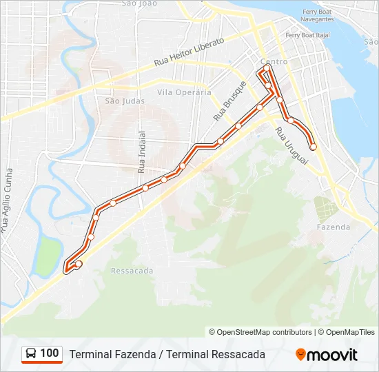 100 Bus Line Map