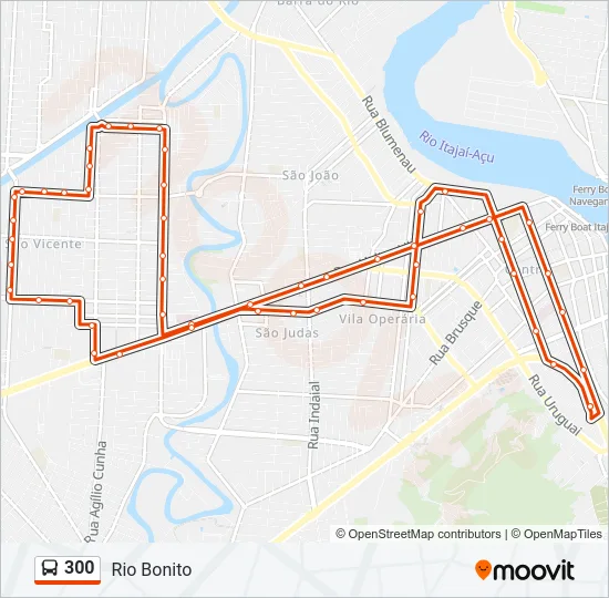 300 Bus Line Map