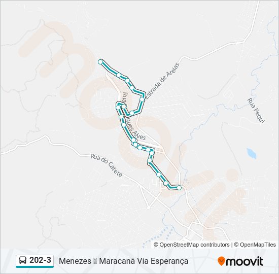 Mapa da linha 202-3 de ônibus