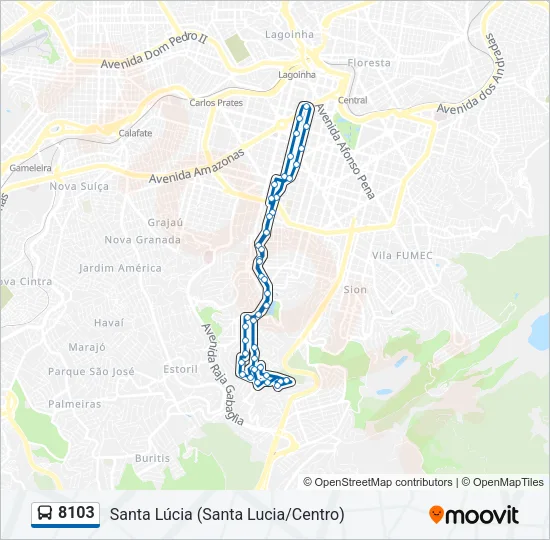 8103 Bus Line Map