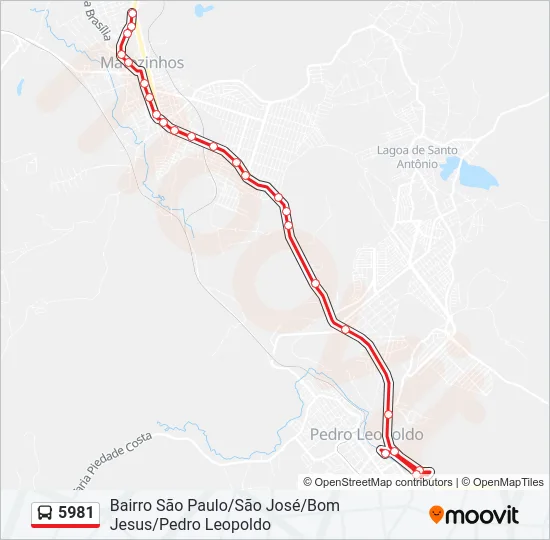 5981 Bus Line Map