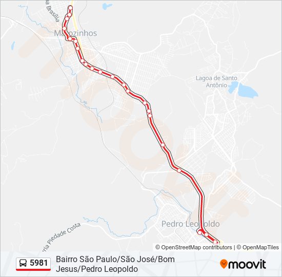 5981 bus Line Map