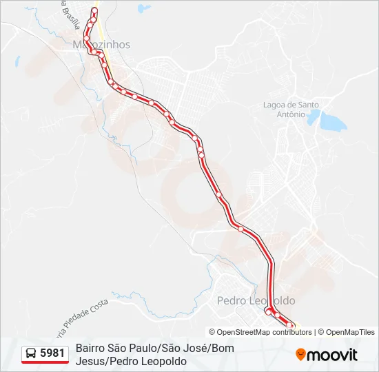 5981 Bus Line Map