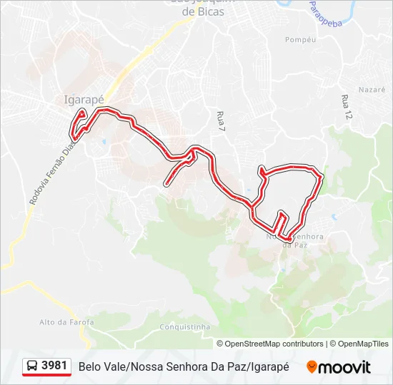 3981 Bus Line Map
