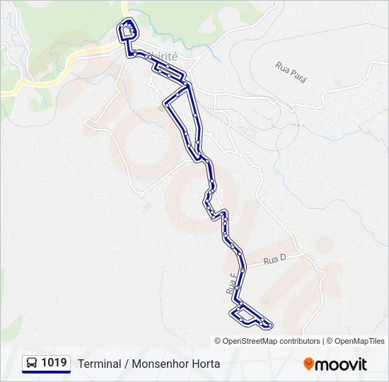 1019 Bus Line Map