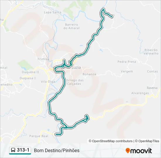 313-1 Bus Line Map