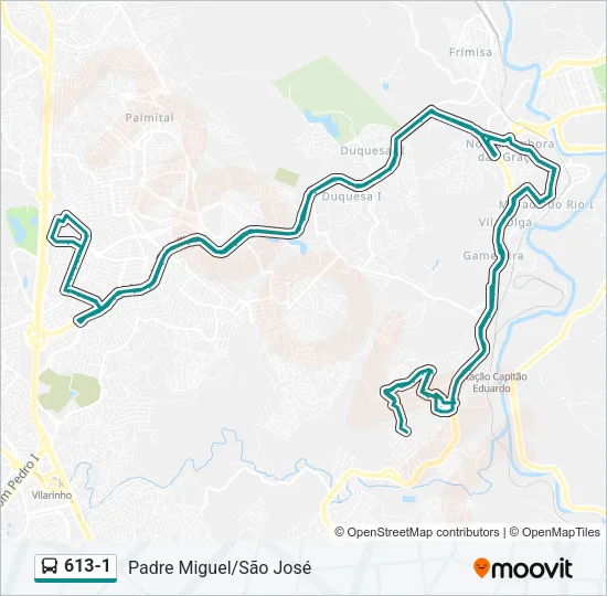 613-1 Bus Line Map