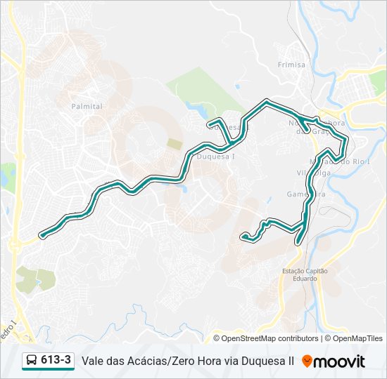 613-3 Bus Line Map
