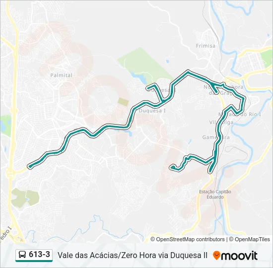 613-3 Bus Line Map