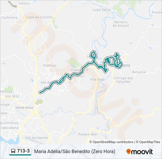 713-3 Bus Line Map